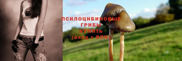 mix Лабытнанги
