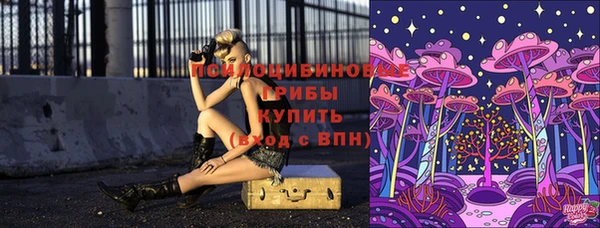 скорость Ладушкин
