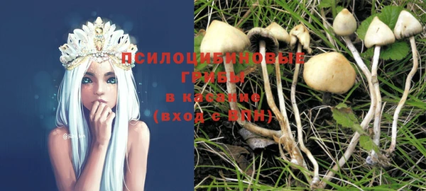 скорость Ладушкин
