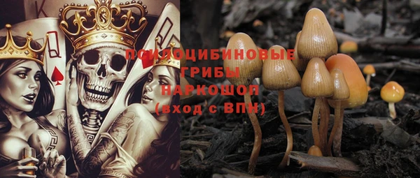 скорость Ладушкин