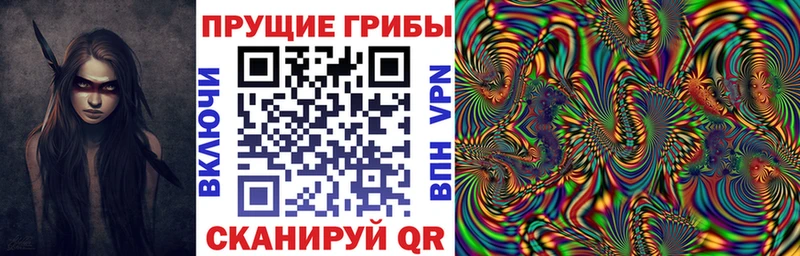 Купить где  Боровичи  Псилоцибиновые грибы Cubensis 